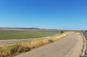 millennium coastal path