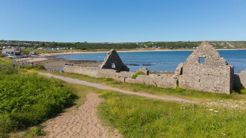 are dogs allowed on port eynon beach